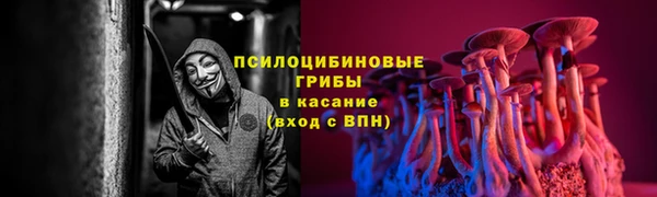дмт Арсеньев