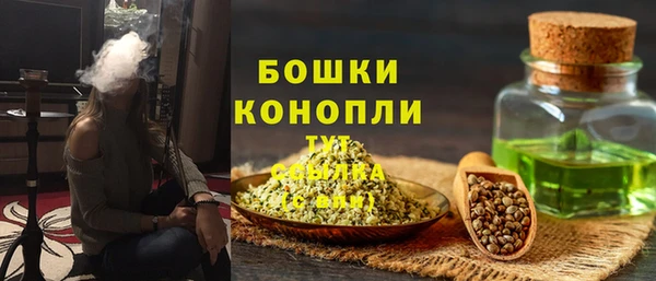 дмт Арсеньев