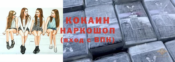 дмт Арсеньев